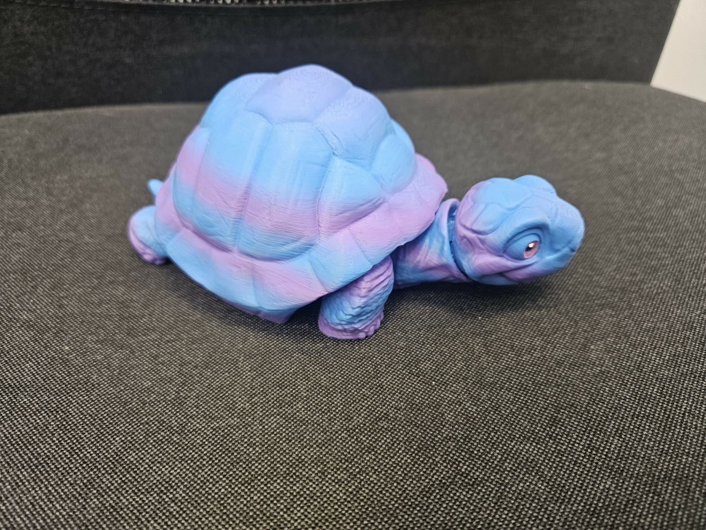 Tortoise