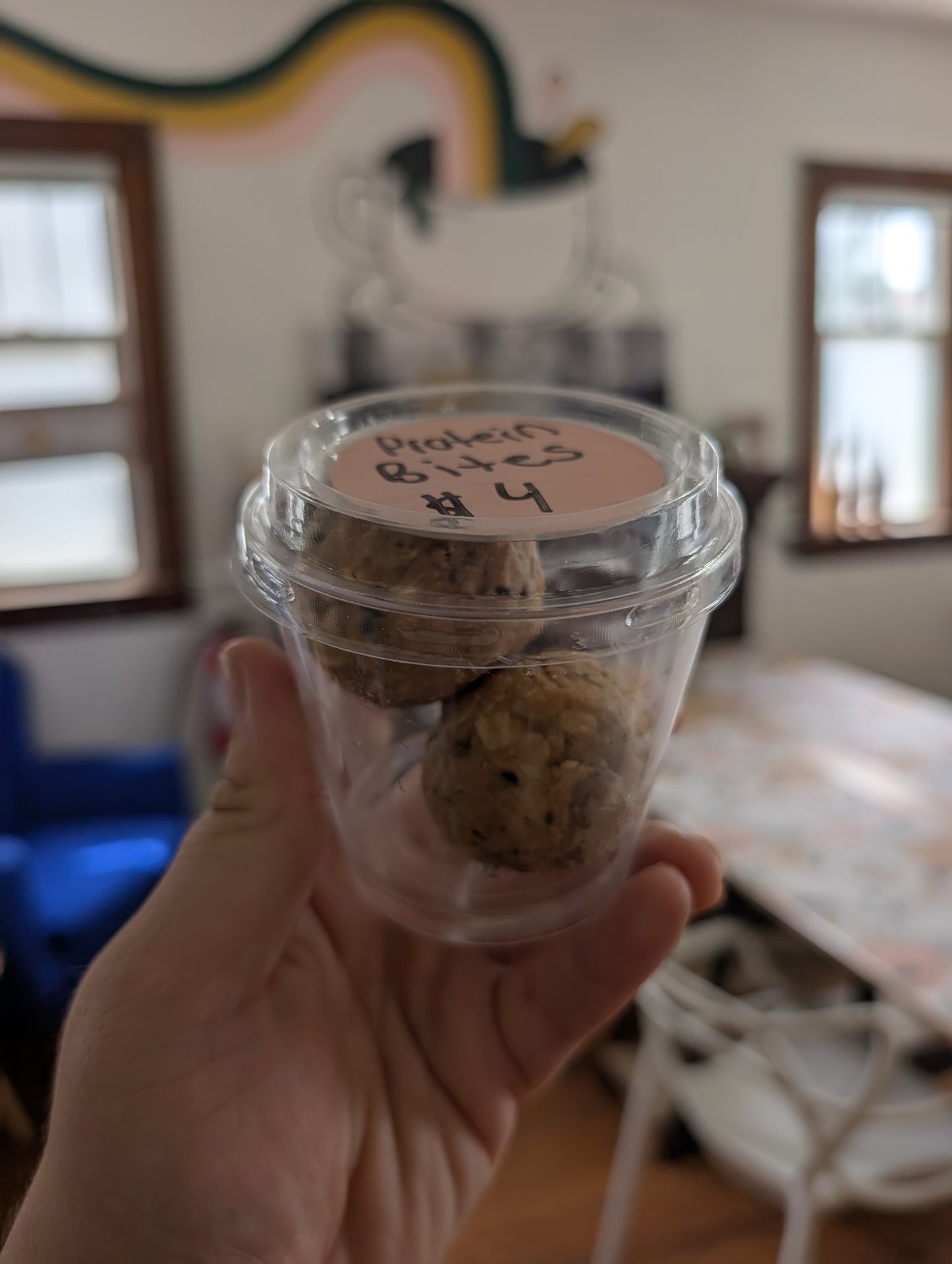 Protein Bites