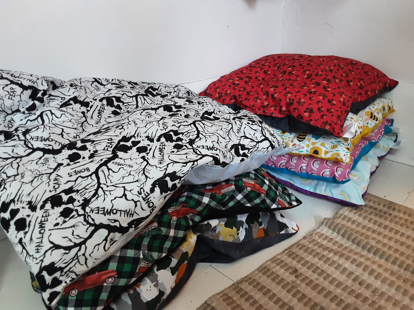 Catnip bed