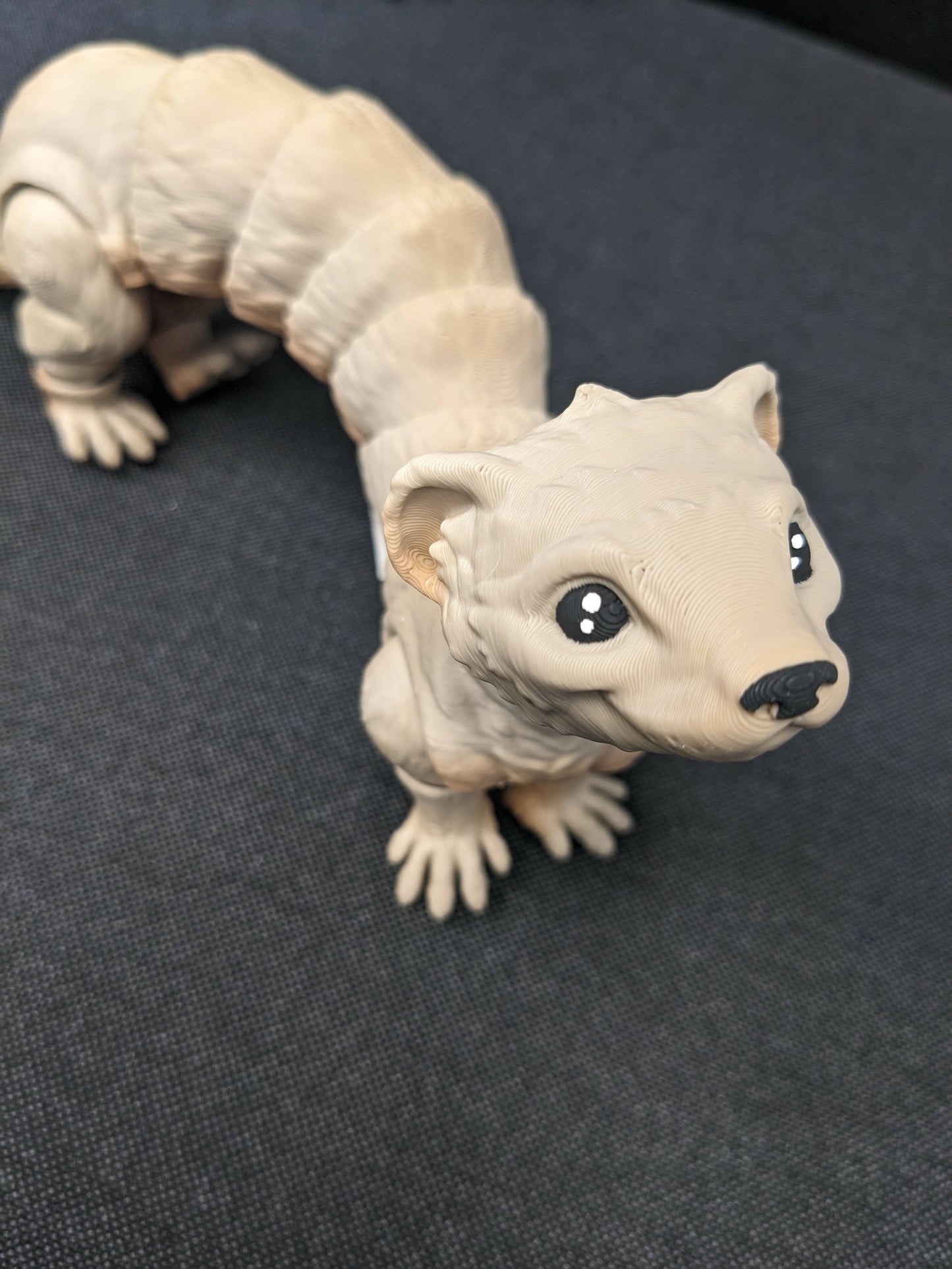 Ferret
