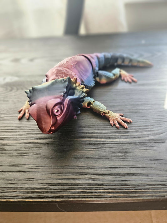 Bearded Dragon