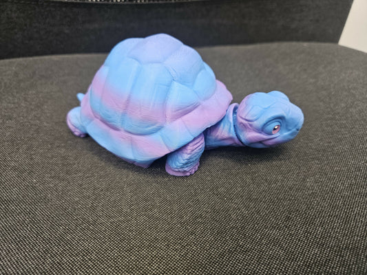 Tortoise